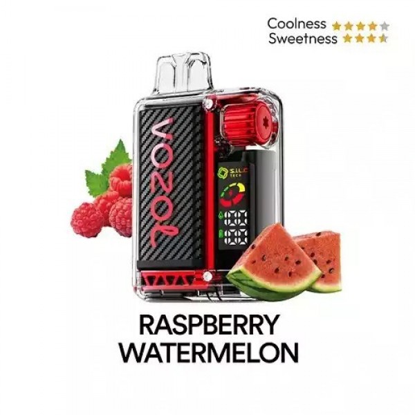 Vozol Vista Raspberry Watermelon 20000 Puff